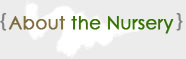 about the nursery