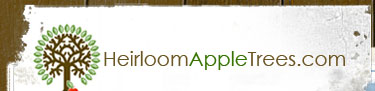 Heirloom Apple Trees